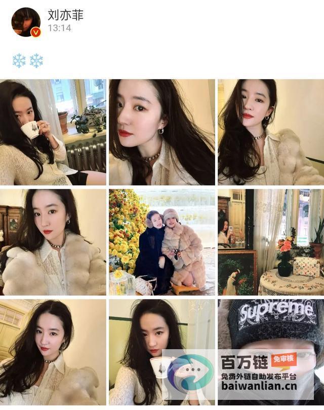 姐妹花合照洋溢温馨刘亦菲与母亲共赏冰封黄玫瑰